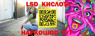 индика Владимир