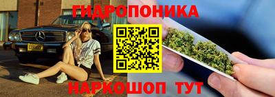индика Владимир