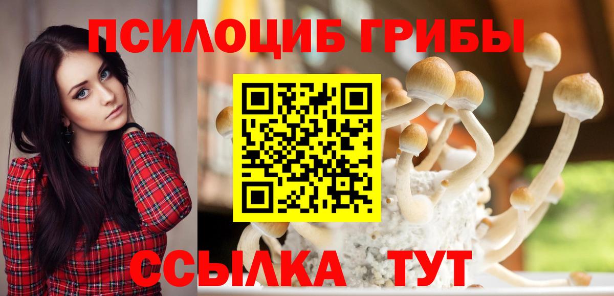 Галлюциногенные грибы GOLDEN TEACHER  Вход с VPN  Калач-на-Дону 